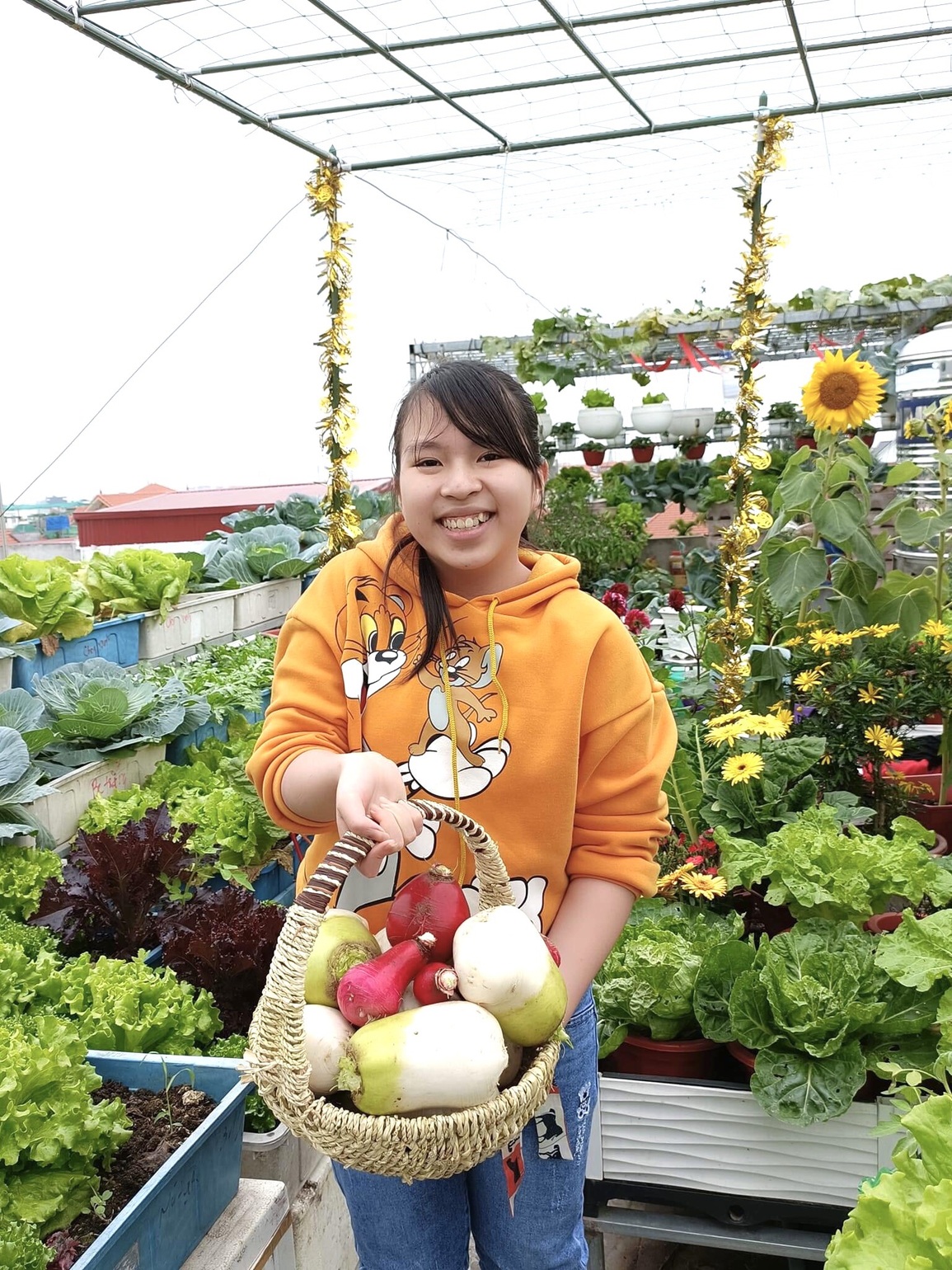 Mẹ đảm ở Hải Phòng kỳ công về quê chở đất, kéo từng bao lên phố trồng rau - 8 Mẹ đảm ở Hải Phòng kỳ công về quê chở đất, kéo từng bao lên phố trồng rau - 8