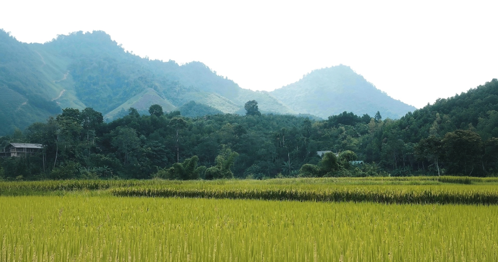Tân Trào - Điểm đến nghỉ dưỡng sinh thái tại Đông Bắc - 1