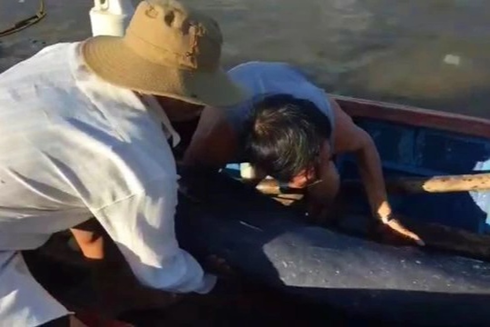 Ngư dân Bình Định giải cứu cá heo nặng 50 kg lạc vào sông Lại Giang - 1 Ngư dân Bình Định giải cứu cá heo nặng 50 kg lạc vào sông Lại Giang - 1