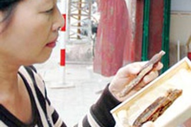 Đừng lạm dụng nhân sâm 