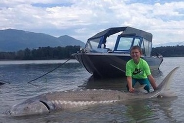 Bé 9 tuổi câu được cá nặng hơn 270kg