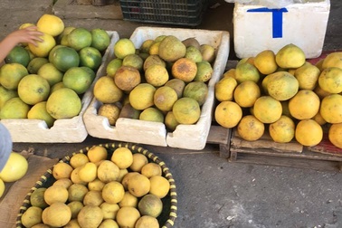 Các loại hoa quả Việt nên mua vào thời điểm này