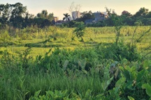 Điểm tên những dự án khu đô thị, nhà ở bị thu hồi ở Vĩnh Phúc