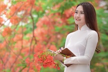 Thiếu nữ Hà thành mơ màng bên hoa phượng "rực cháy"