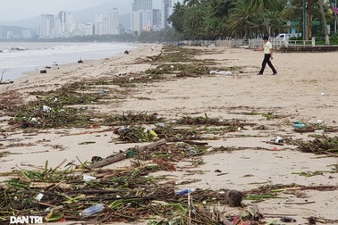 Bãi biển Nha Trang ngập ngụa rác sau mưa lũ