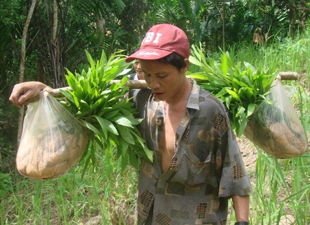 Ngày đầu cha con “người rừng” lên rẫy trồng keo