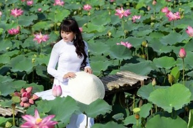 Giới trẻ phát sốt với đầm sen đẹp ngỡ ngàng giữa lòng Sài Gòn