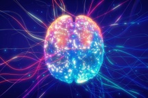 Một phần trí nhớ không hề nằm trong não