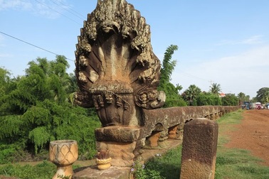 Huyền thoại chữa bệnh từ… rắn