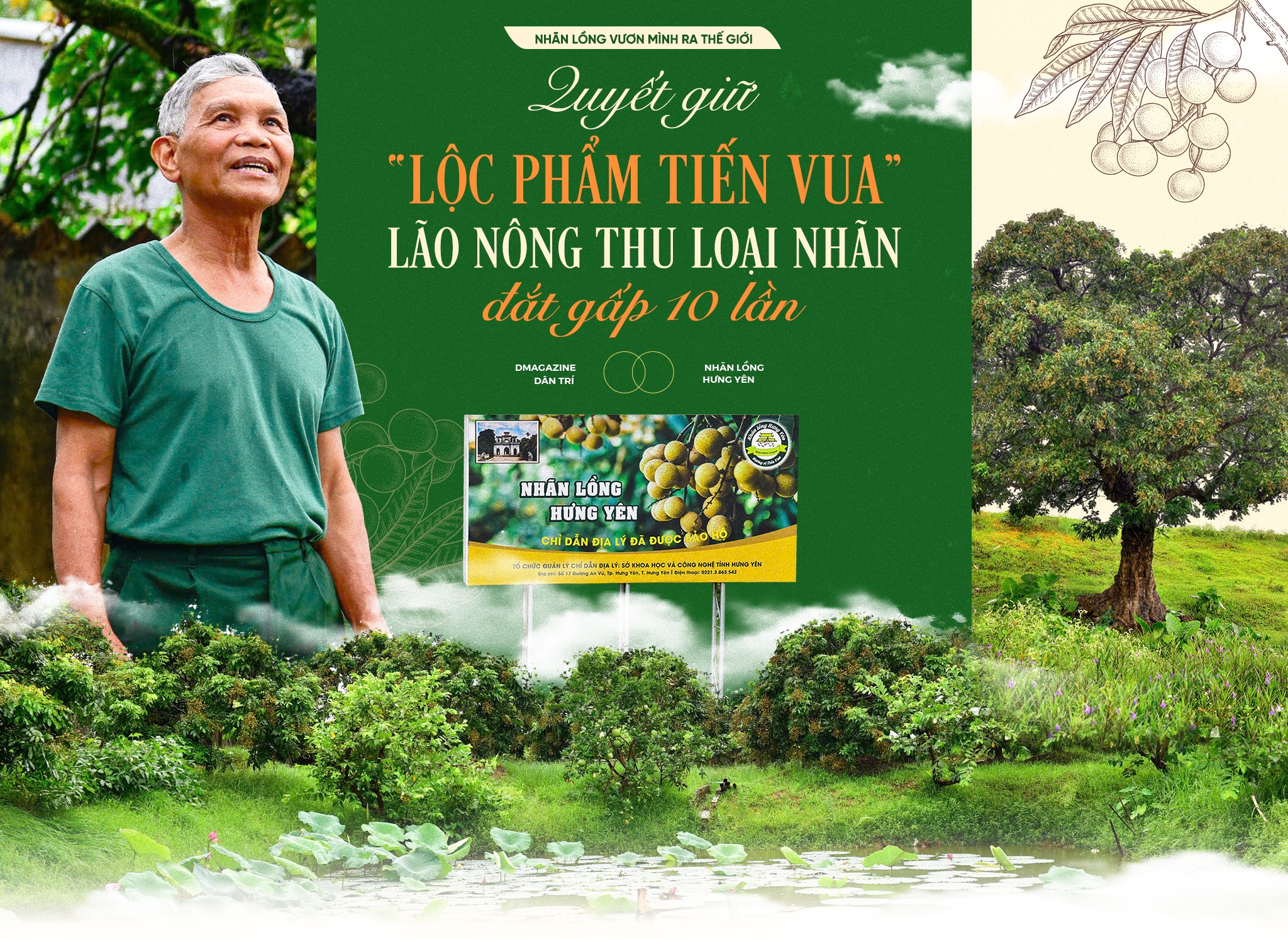 Quyết giữ “lộc phẩm tiến vua”, lão nông thu loại nhãn đắt gấp 10 lần