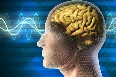 Những ứng dụng giúp làm việc tập trung hơn và cải thiện chất lượng giấc ngủ