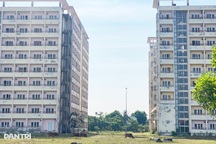 Trung tâm đào tạo cán bộ ngân hàng thành nơi... chăn bò