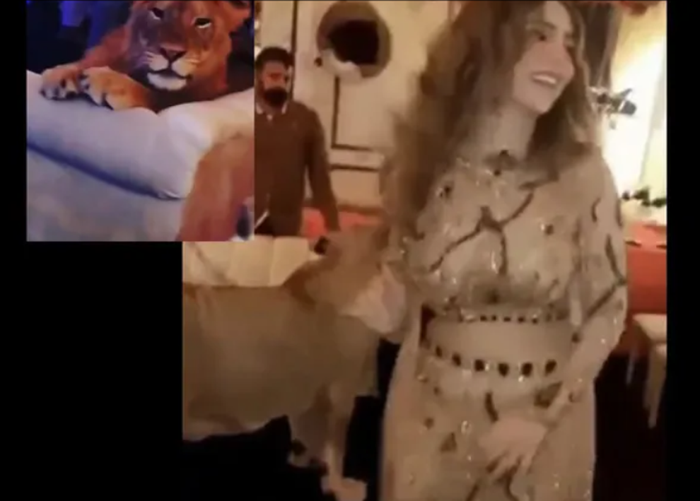 Mang sư tử đến mua vui trong tiệc sinh nhật, ngôi sao mạng gây phẫn nộ - 1