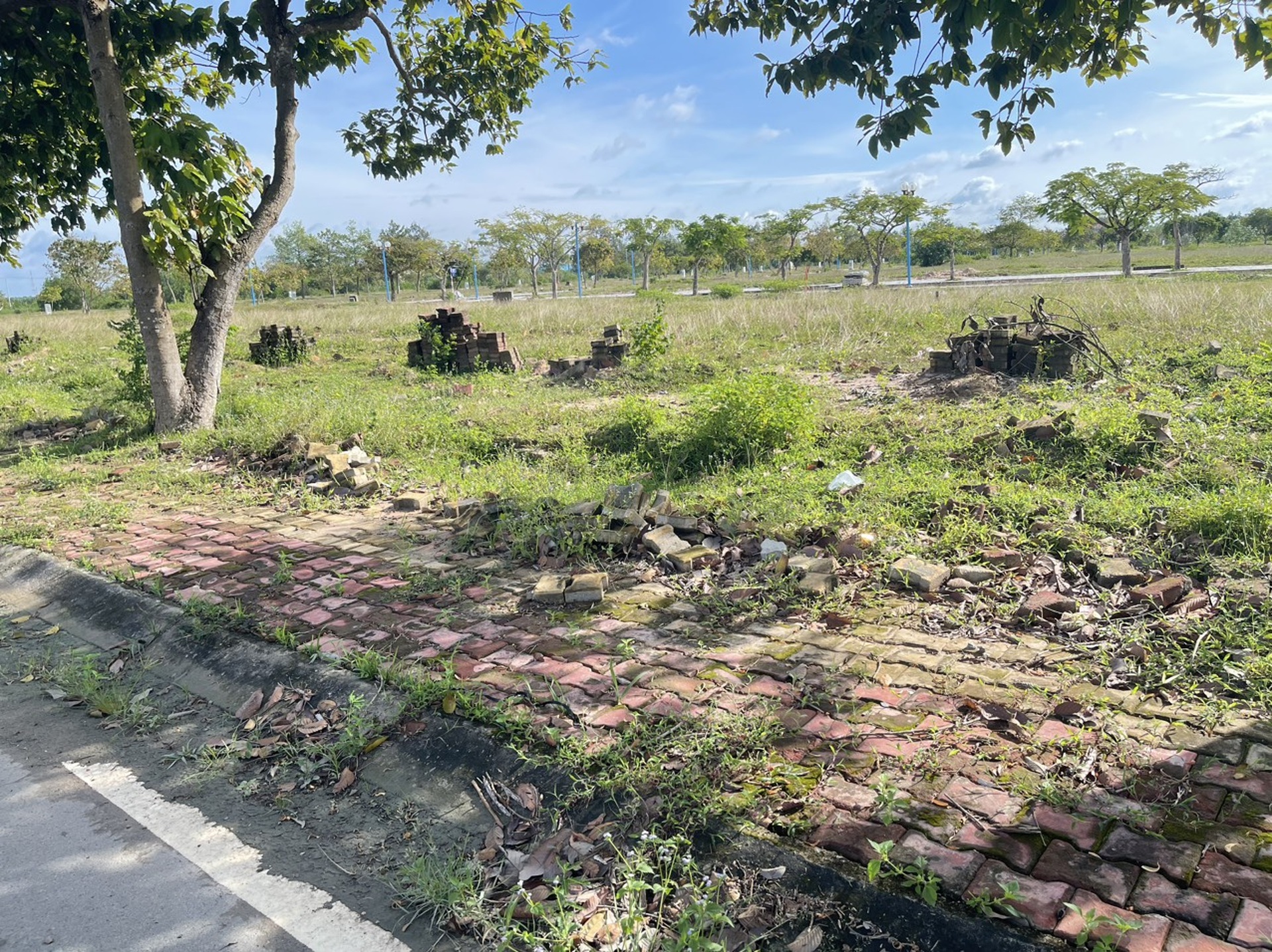 Bài 3: Long Tân City - thành phố… bánh vẽ - 6 Bài 3: Long Tân City - thành phố… bánh vẽ - 6