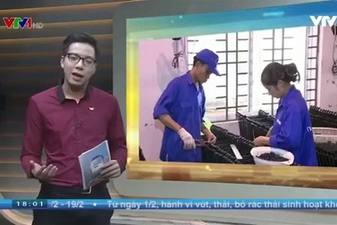 Hầu hết lao động đã trở lại làm việc sau Tết