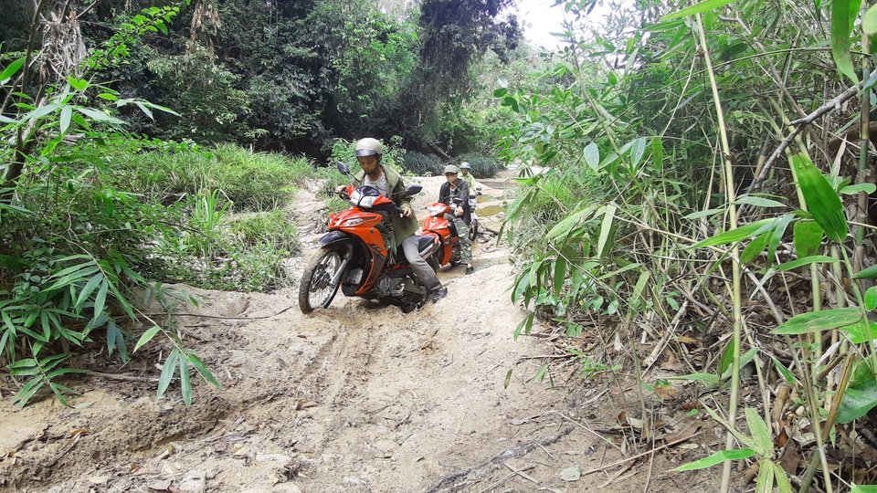 Đến Gia Lai chiêm ngưỡng nàng công chúa ngủ trong rừng - 2 Đến Gia Lai chiêm ngưỡng nàng công chúa ngủ trong rừng - 2