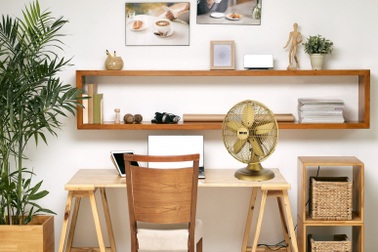 Mr. Vũ trình làng bộ sưu tập quạt cây, quạt bàn độc đáo