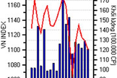 VN-Index đang lùi về mốc 1.000 điểm?