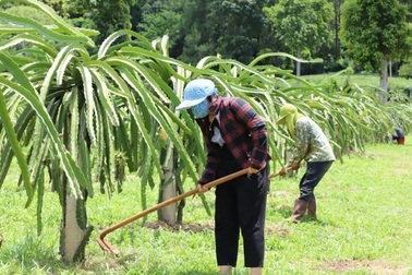 Sơn La: Đời sống người dân tộc thiểu số ngày càng "thay da đổi thịt"