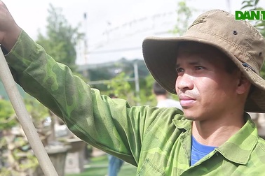 Mục sở thị bộ ba sanh cổ giá hơn 1 triệu USD của nghệ nhân Nam Định