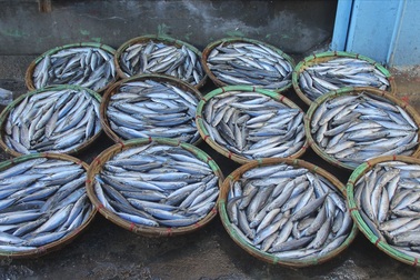 Độc đáo nghề hấp cá nuôi sống bao thế hệ