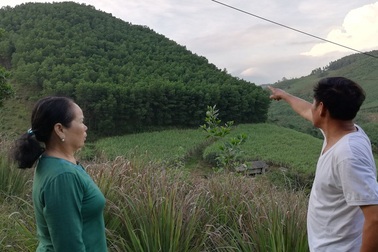 Hoà Bình: Đất lâm nghiệp của dân “bỗng dưng” biến thành của doanh nghiệp?