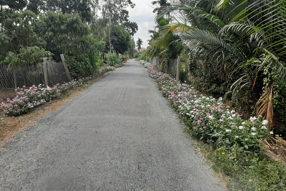 Ấn tượng những con đường hoa nông thôn mới kiểu mẫu ở Sóc Trăng - 3 Ấn tượng những con đường hoa nông thôn mới kiểu mẫu ở Sóc Trăng - 3