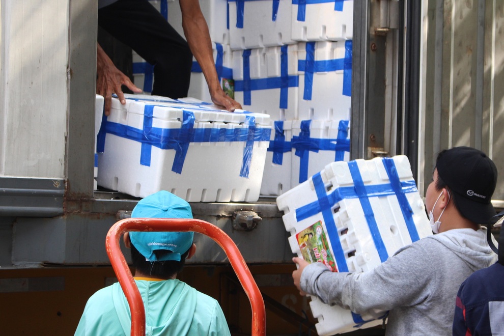 Học sinh lớp 7 phụ giúp mẹ bán vải thiều, chia sẻ với nhà nông Bắc Giang - 2