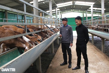 Thanh niên tậu ô tô nhờ khởi nghiệp từ 9 con dê