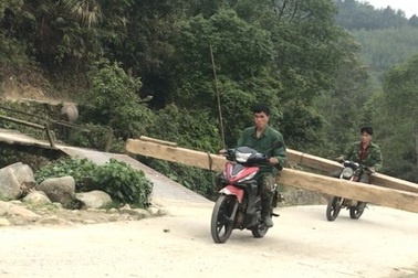 Đình chỉ 2 cán bộ kiểm lâm để Vườn quốc gia Hoàng Liên bị chặt phá