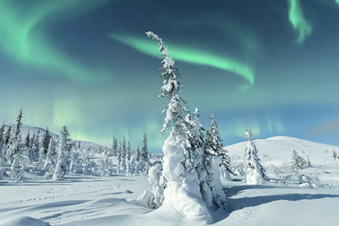 Tại sao tuyết có màu trắng?