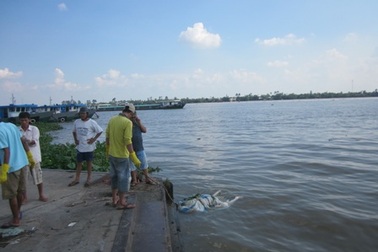 Phát hiện thi thể một phụ nữ nổi trên sông Tiền