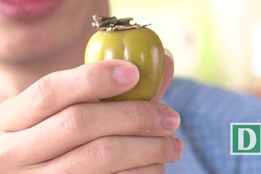 Tại sao khi cắt hoa quả để một thời gian lại bị thâm đen