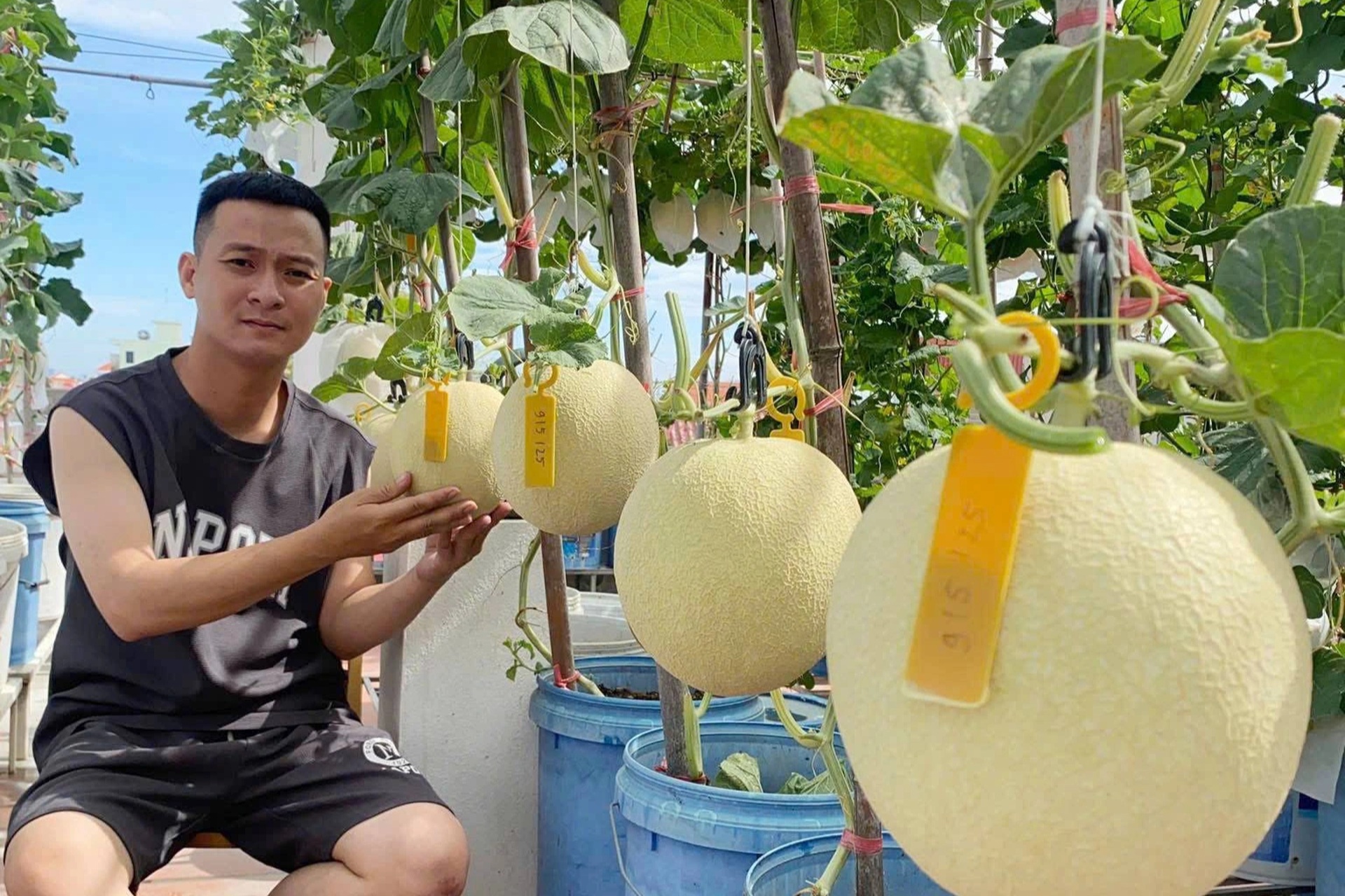 Chàng trai Hải Phòng nuôi gà, làm vườn trĩu quả trên sân thượng nhà phố - 3