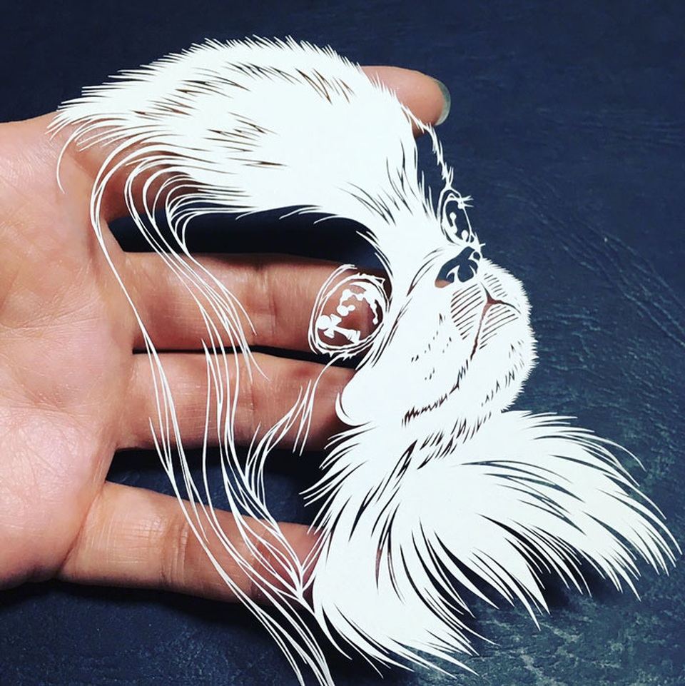 Một tác phẩm Kirigami có thể tinh xảo đến mức nào? - 7 Một tác phẩm Kirigami có thể tinh xảo đến mức nào? - 7
