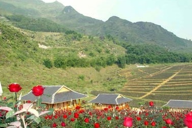 Hủy sổ đỏ 3 khu đất vàng Sa Pa rộng hàng chục hecta đã cấp cho doanh nghiệp