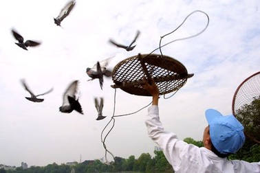 Sẽ có sự tích Lang Liêu tại Hà Nội