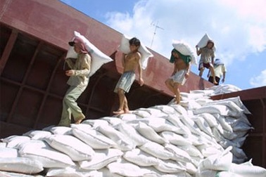 Xuất khẩu gạo vượt 1 tỉ USD