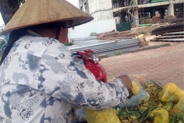 Bí quyết tiết kiệm mỗi tháng 3 triệu của một phụ nữ bán dứa