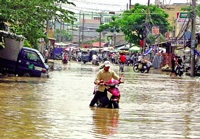 Chống ngập cho TPHCM: Lo “lửa” lại quên “rơm”
