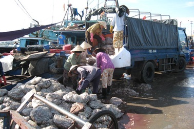 Gỡ "bẫy" của thương lái Trung Quốc