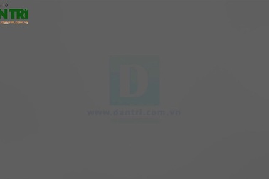 Khai trương đường bay Đồng Hới - Cát Bi