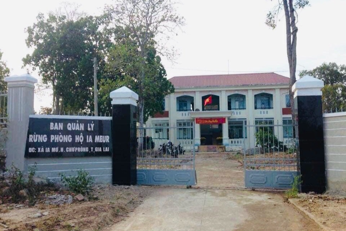 Tổng Cục lâm nghiệp vào cuộc vụ nhân viên bảo vệ rừng bị hành hung, đe dọa - 1 Tổng Cục lâm nghiệp vào cuộc vụ nhân viên bảo vệ rừng bị hành hung, đe dọa - 1