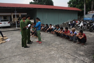 Triệt phá trường gà “chạy” giữa rừng cao su