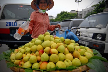 Rau quả Trung Quốc bán giá... “trời ơi”