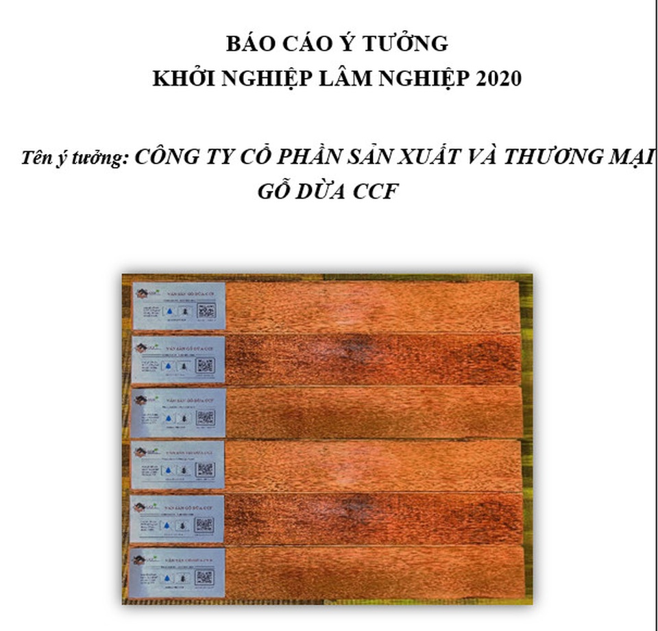 Sàn gỗ từ cây dừa đoạt giải nhất cuộc thi Khởi nghiệp sáng tạo Lâm nghiệp - 1 Sàn gỗ từ cây dừa đoạt giải nhất cuộc thi Khởi nghiệp sáng tạo Lâm nghiệp - 1