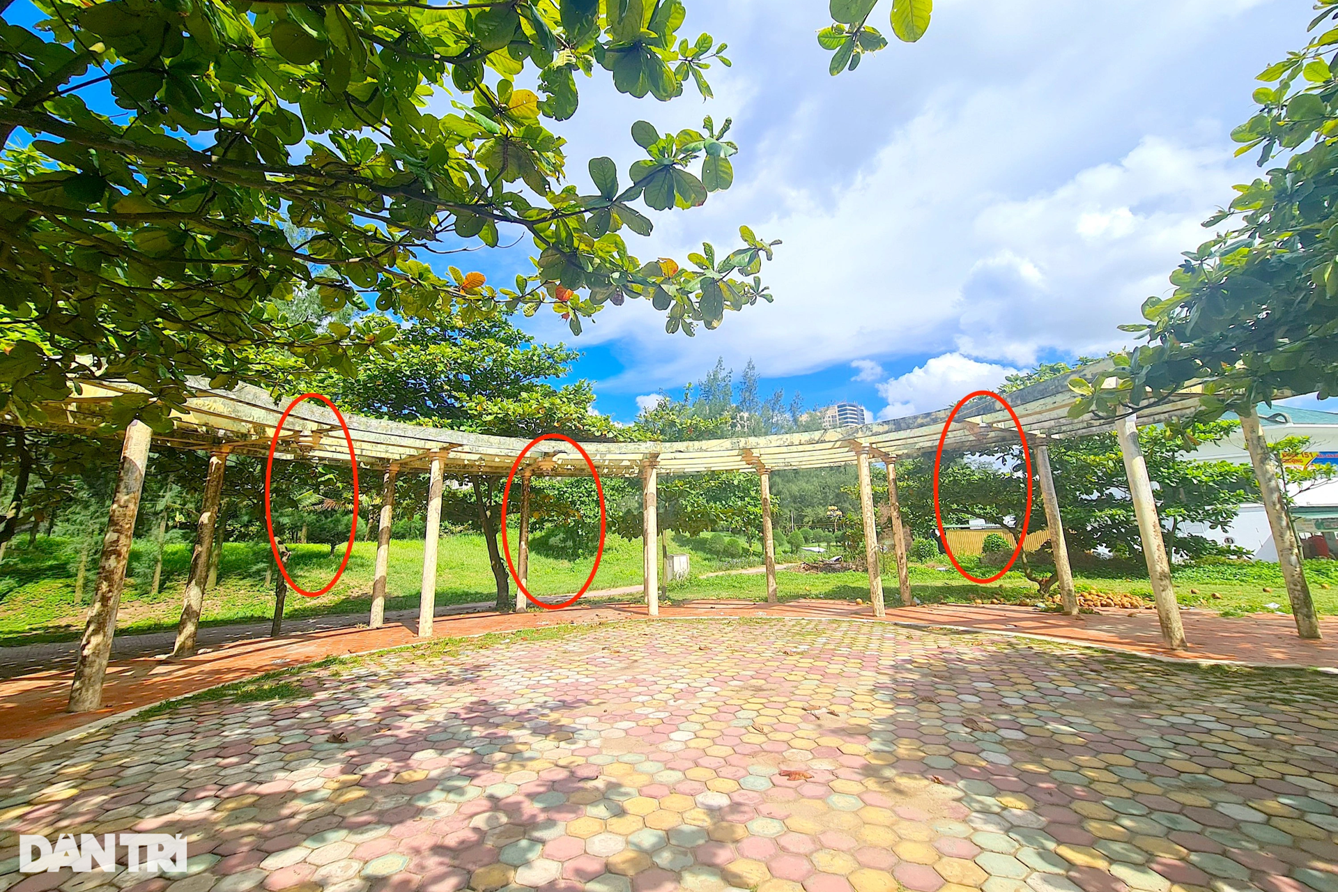 Nhếch nhác ở bãi biển Cửa Lò: Khiếp sợ với những khu nhà bị bỏ hoang - 13 Nhếch nhác ở bãi biển Cửa Lò: Khiếp sợ với những khu nhà bị bỏ hoang - 13