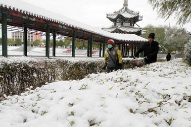 Kiếm bộn tiền nhờ bán tuyết