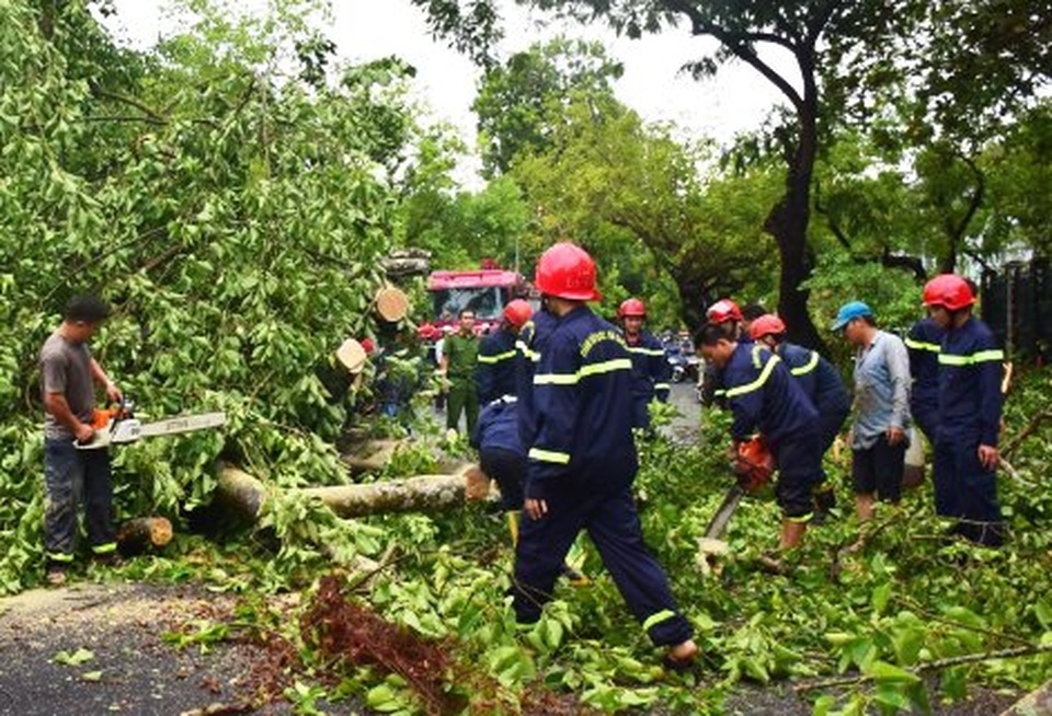 Thừa Thiên Huế căng mình khắc phục thiệt hại do bão số 5 gây ra - 14 Thừa Thiên Huế căng mình khắc phục thiệt hại do bão số 5 gây ra - 14