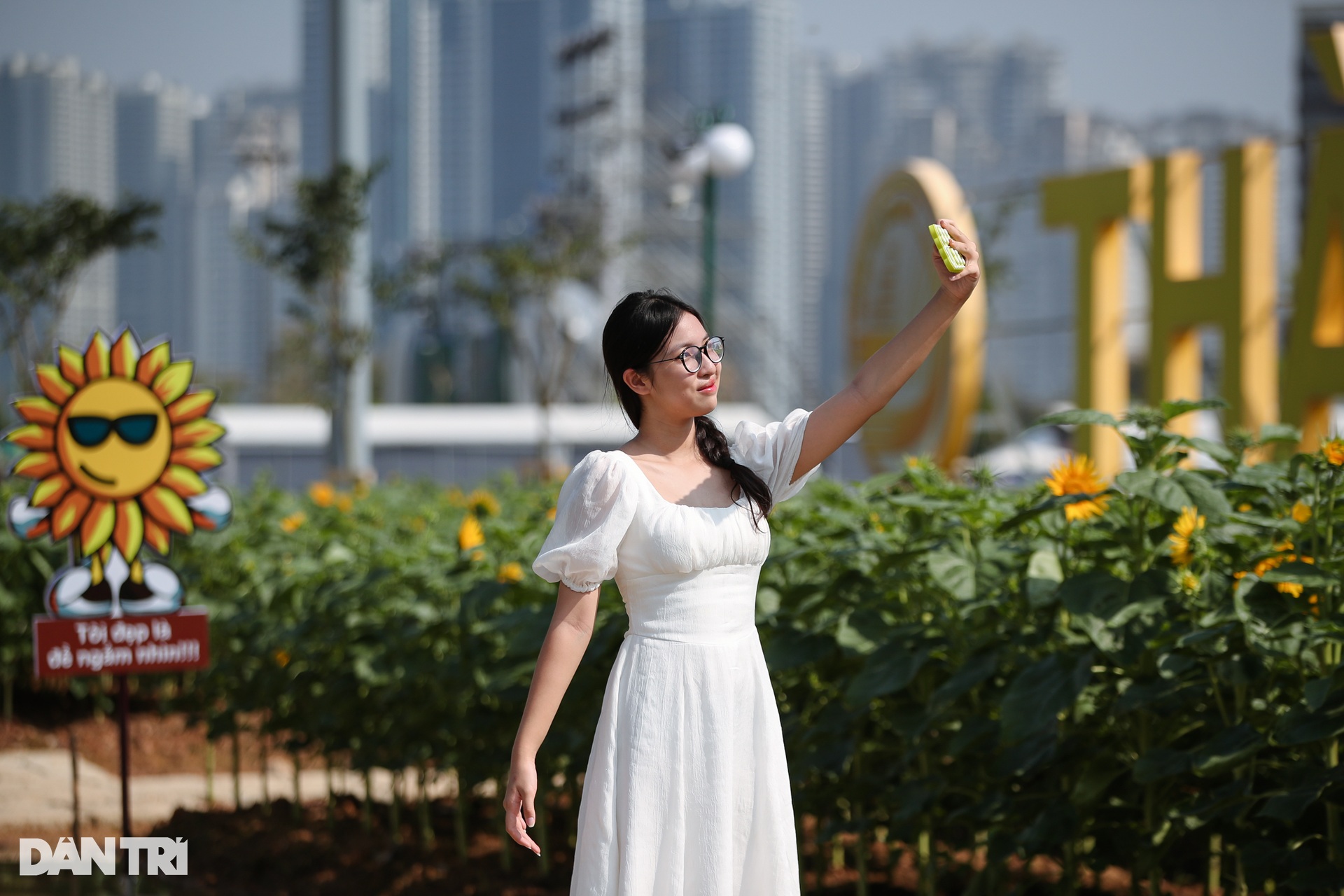 Many young people jostle each other to show off their beauty in the sunflower field - 2